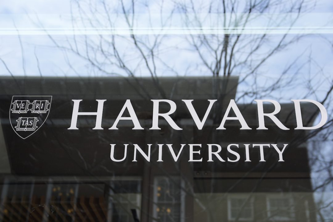 Report: Harvard Discriminates Against White Men in Admin, Faculty Hiring Report: Harvard Discriminates Against White Men in Admin, Faculty Hiring