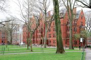Top Doc Says DEI, Leftism Have “Totally Corrupted” Harvard