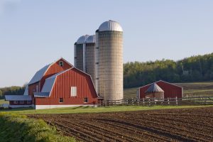 Trump Announces Another $8 Billion Farm Bailout