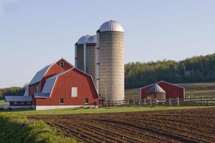 Trump Announces Another $8 Billion Farm Bailout