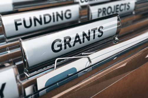 How Grants Undermine Local Control