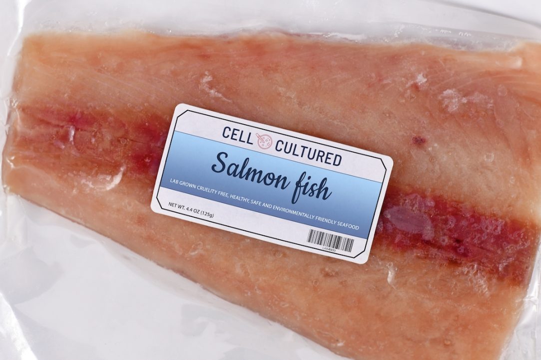 FDA Rubber-stamps Approval of Lab-grown Salmon