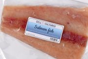 FDA Rubber-stamps Approval of Lab-grown Salmon