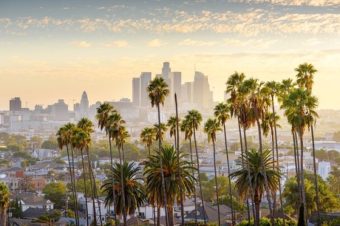 Lost Angeles? Poll Finds 48% of Angelenos Want Socialist Mayor