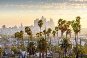 Lost Angeles? Poll Finds 48% of Angelenos Want Socialist Mayor