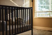 Furor Over Sex Offender With Infant From Surrogate Mother Invites Legislation, Petition for Probe