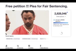 Petitions Seek Leniency for Illegal-alien Trucker Who Killed Three