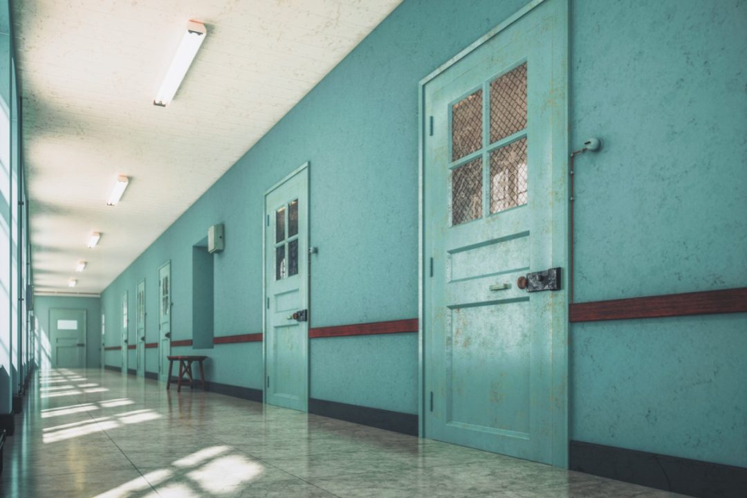 MAGA: Make Asylums Great Again? Trump Considers Reopening Mental Institutions MAGA: Make Asylums Great Again? Trump Considers Reopening Mental Institutions