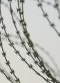 Critics Furious As Border Agent Diaz Gets Two Years in Prison