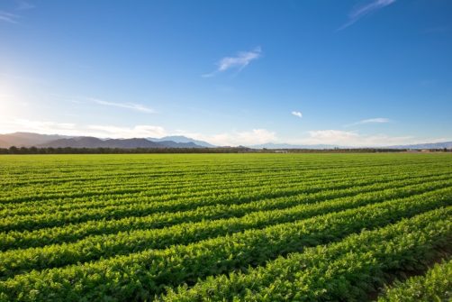 Farm Bill Pushes Federal Control Over Pesticide Warnings, Sparks Backlash