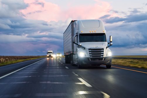 ICE Ready to Deport Indian Illegal Who Had NY CDL With “No Name Given”