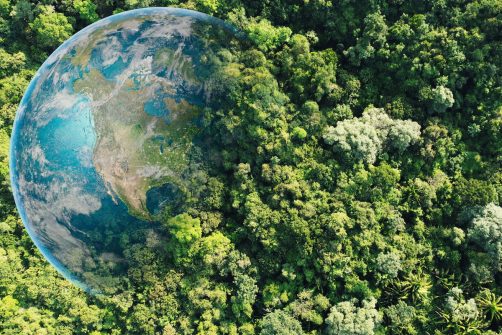 Climate Cycles and God’s Design: Why Balance Matters