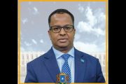 Report: Somali Deputy P.M. Owns Healthcare Biz in Ohio. House Panel to Investigate Somali Daycare Scandal.