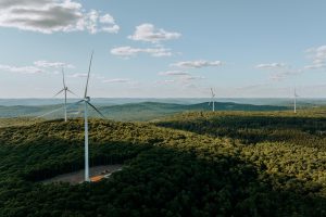 New York Demolition Exposes Wind Waste and Taxpayer Fraud