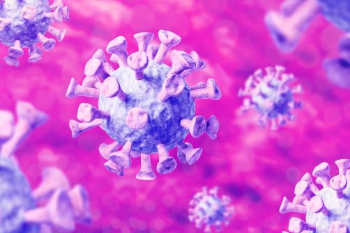 The Next Pandemic Scare? Scientists Warn of Emerging Viruses.