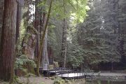 Leaked Bohemian Grove Membership List Ignites Online Backlash