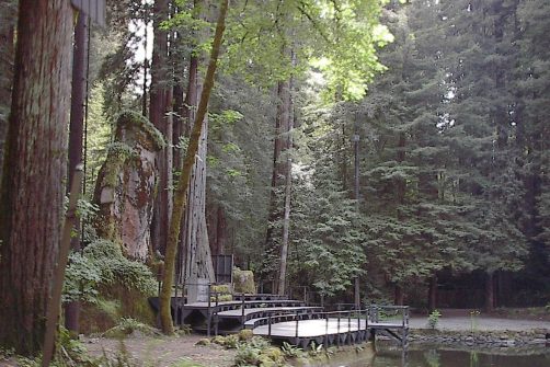 Leaked Bohemian Grove Membership List Ignites Online Backlash