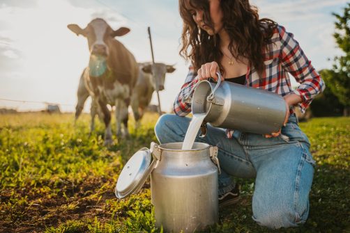 Raw Milk and Food Freedom: Let Farmers Feed Their Neighbors