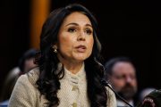 Gabbard Roasted in Senate Hearing, Written Testimony Contradicts Trump