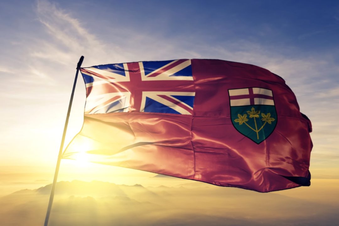 Lib Politician Pushes Mass Migration, Then Loses Nomination to Immigrant. Now He Alleges Vote Fraud.