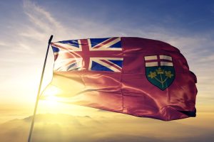 Lib Politician Pushes Mass Migration, Then Loses Nomination to Immigrant. Now He Alleges Vote Fraud.