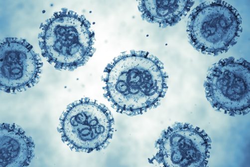 Hantavirus: Is the Next Pandemic Upon Us?