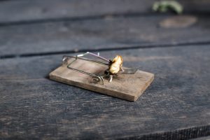 New Oregon Measure Would Criminalize Hunting, Fishing — and Even Standard Mouse Traps