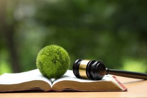 UN Endorses “World Court” Ruling Claiming All MUST Fight “Climate Change”