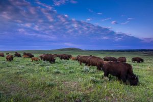 Leftists’ “Land Acknowledgments”: If the Land Is Stolen, When Will They Return It?