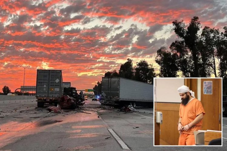 Judge Sentences Indian Illegal Alien to Less Than 5 Years for Triple-fatality Wreck