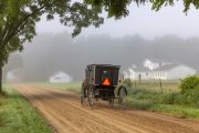 Second Circuit Upholds New York Vaccine Mandate Against the Amish