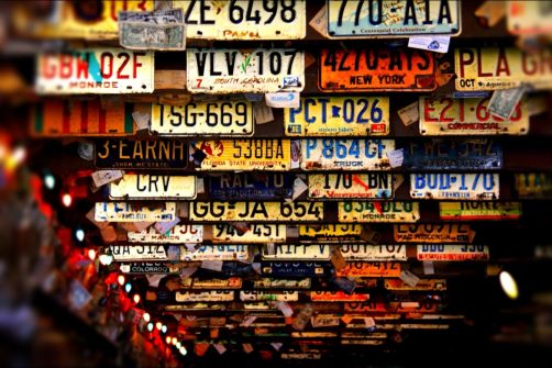 Narcissism: Vanity License Plates for Politicians