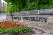 The Cornell Case: A Rape of a Woman — or of Reason, Society, and the Midterms?