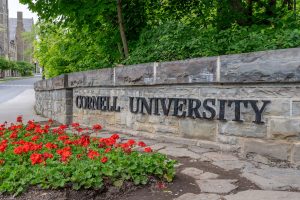 The Cornell Case: A Rape of a Woman — or of Reason, Society, and the Midterms?