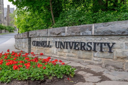 The Cornell Case: A Rape of a Woman — or of Reason, Society, and the Midterms?