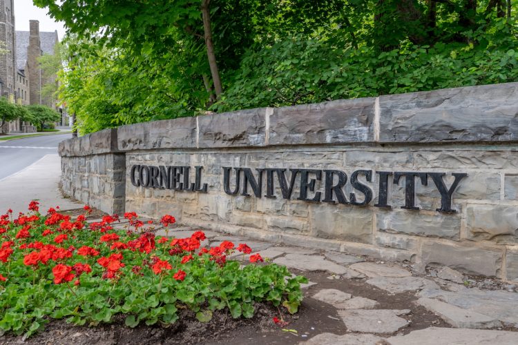 The Cornell Case: A Rape of a Woman — or of Reason, Society, and the Midterms?