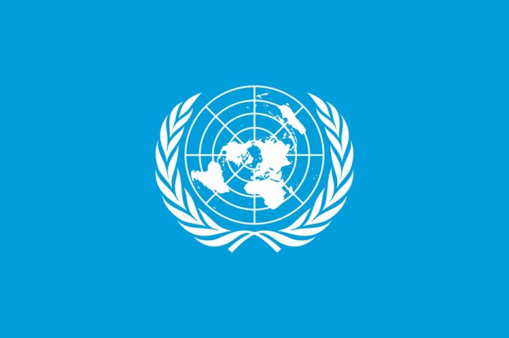 United Nations Day: 81 Years of Shame