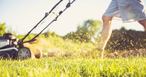 A License to Mow Lawns? Occupational Licensure and Liberty