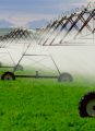 The Farm Subsidy Bait and Switch The Farm Subsidy Bait and Switch