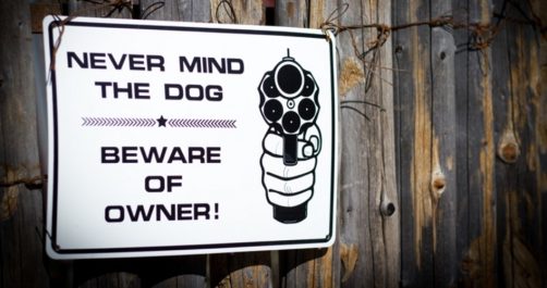 Effingham County, Illinois, Declares Itself a Sanctuary — for Gun Owners!