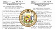 Hawaii Lawmakers Urge Congress to Repeal 2nd Amendment