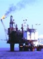 Federal Backlash in Gulf Oil Spill