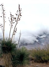 Democrats Push for Passage of Giant Omnibus Land Bill Democrats Push for Passage of Giant Omnibus Land Bill