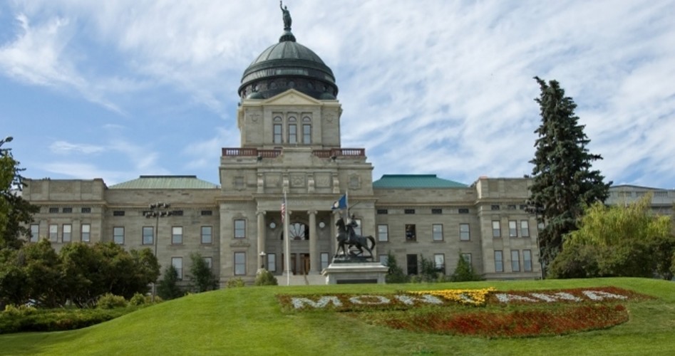 Montana Legislature Passes Gun Control Nullification Bill - The New ...