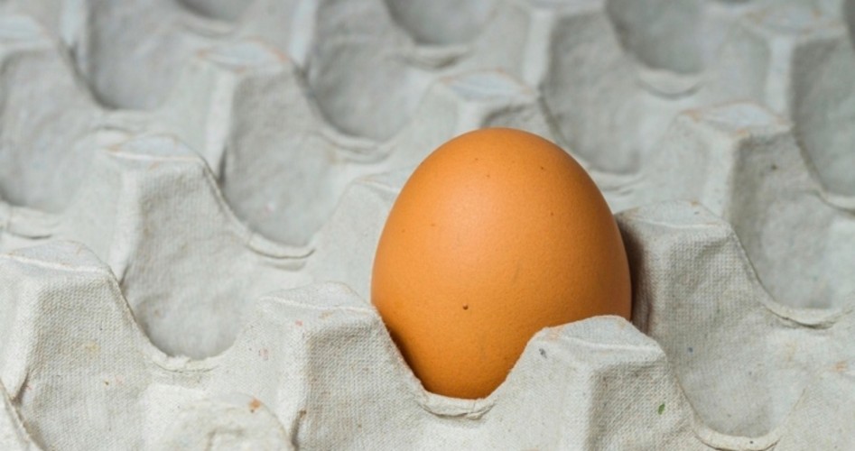 Coming Egg Shortage Will Tax Family Budgets - The New American