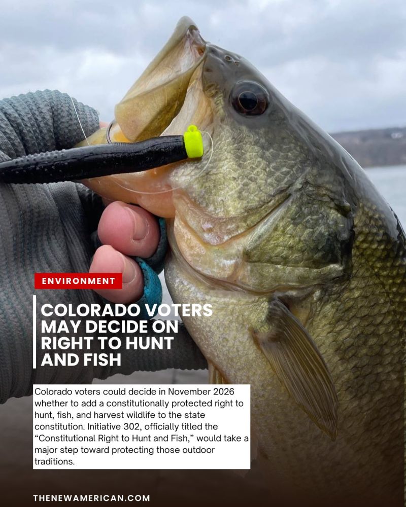 Image for the Tweet beginning: Colorado voters could decide in