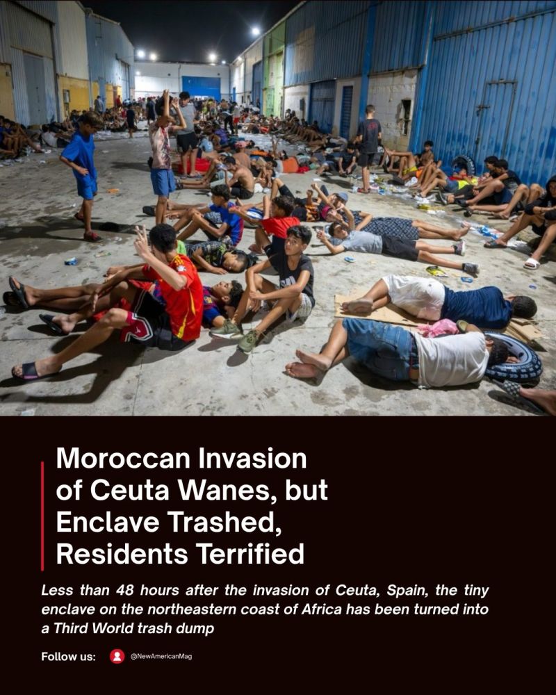 Image for the Tweet beginning: INVASION: Beaches are covered in