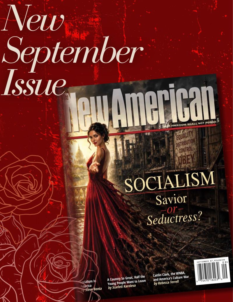 Image for the Tweet beginning: NEW MAGAZINE ISSUE  OUT