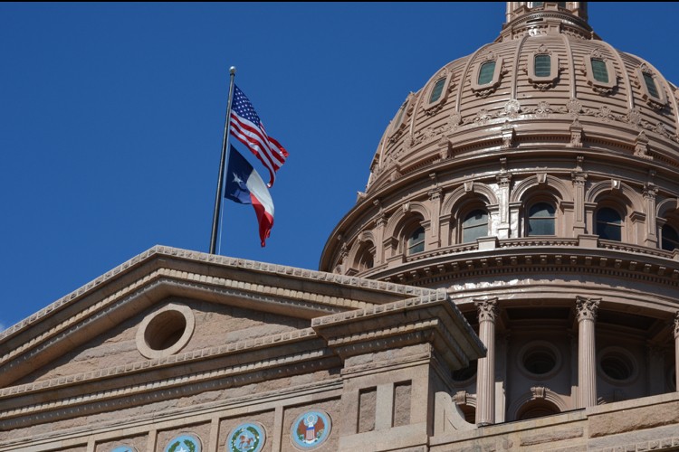 “Harvard Educated” Democrat Texas Rep: “Modern Science” Recognizes There are “Six” Sexes - The New American