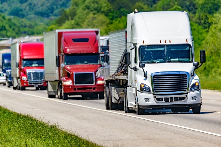 Truckers From “Convoy to DC 2022”: “America Is Next”